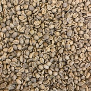 CERRADO FINE CUP SCR 15+