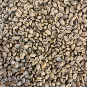 SIDAMO G2